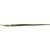 Accessories For Equine Dentistry Diagnostic Kit — 1/Pkg