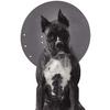 Clear Collar™ Elizabethan Restraint Collars