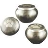 JorVet™ Single Paw Slate/Pewter Odyssey Urn