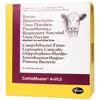 CattleMaster® 4+VL5