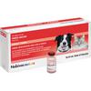 Nobivac® 1-Rabies Vaccine