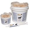 Equine BALT Respiratory Advantage